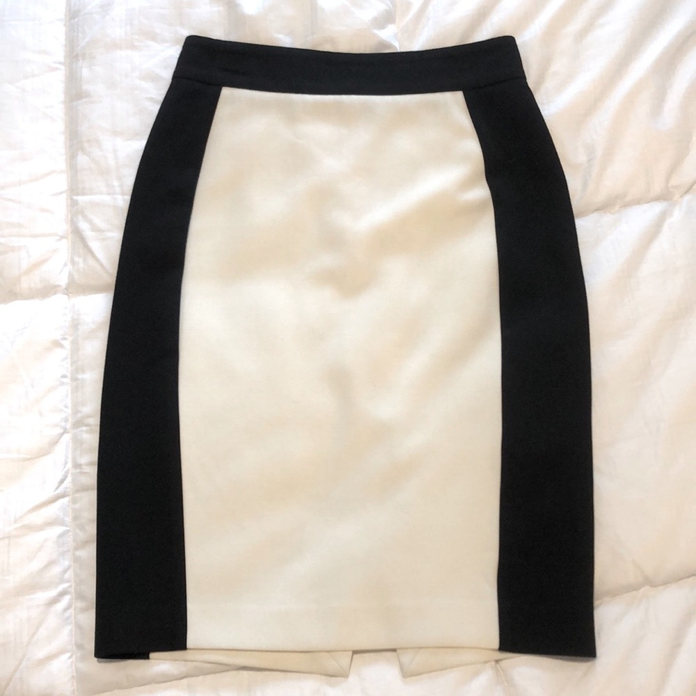 Zara Basic Skirt - image 3
